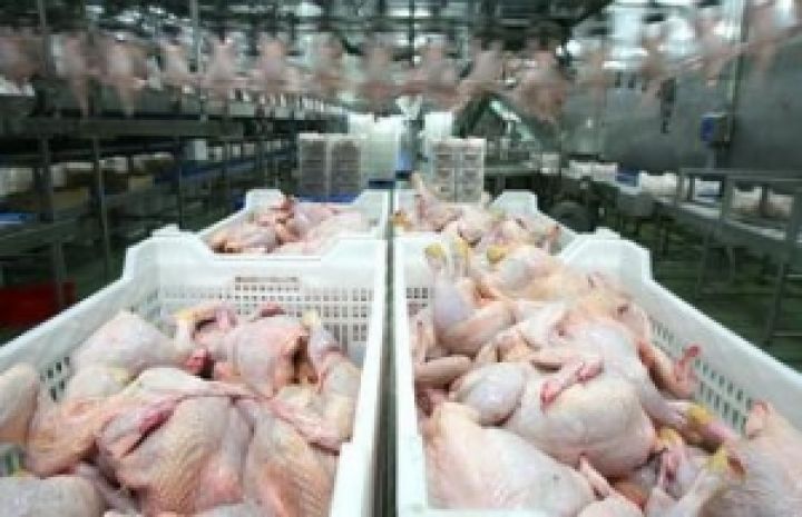 Украина сможет экспортировать в ЕС до 20 тысяч тонн курятины