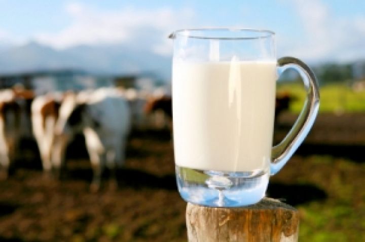Украина не готова экспортировать в ЕС молоко