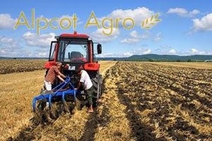 Шведская Alpcot Agro собрала 202,4 тыс. тонн зерновых и масличных культур в Украине