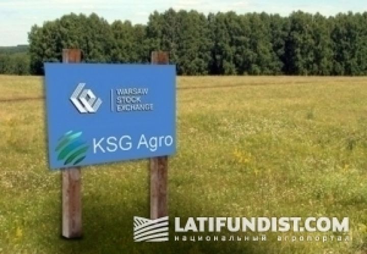 KSG Agro в ближайшее время увеличит земельный банк до 100 тыс. га