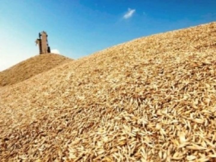 В России на торгах 11 декабря реализовано почти 64 тыс. тонн пшеницы