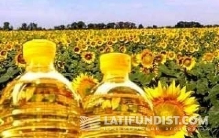 Украина за 3 месяца сократила экспорт подсолнечного масла на 15%