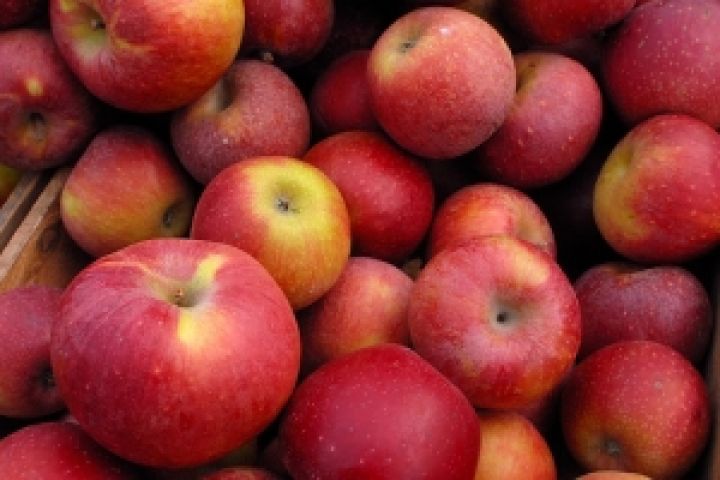 В Польше растут цены на десертное яблоко