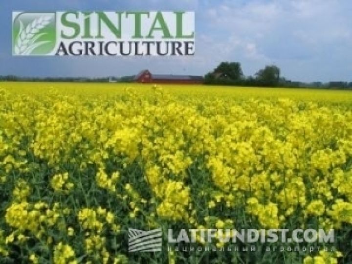 Sintal Agriculture отказывается от 80 тыс. га. Почему?