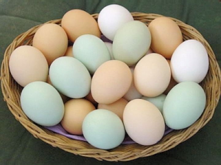 В Казахстане снизилось производство яиц	