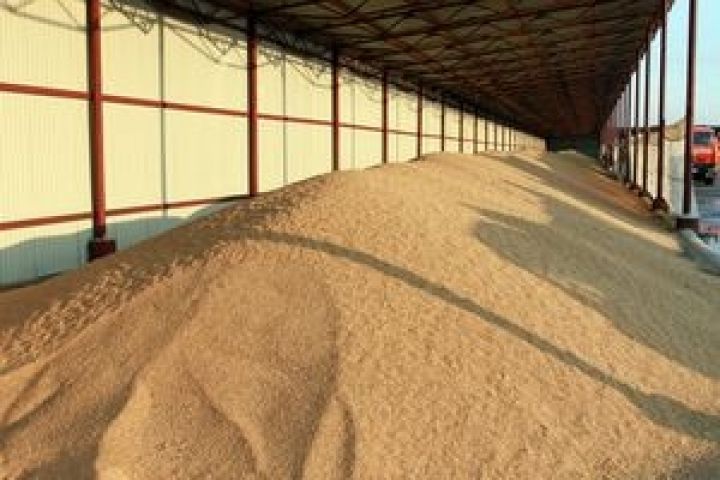 В ходе зерновых интервенций в России сегодня цена достигла максимума