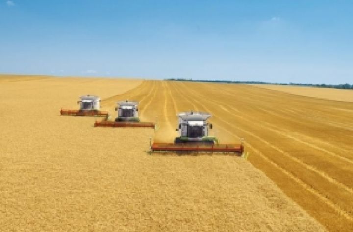 Украина увеличила экспорт сельхозпродукции на 20% в 2012 году