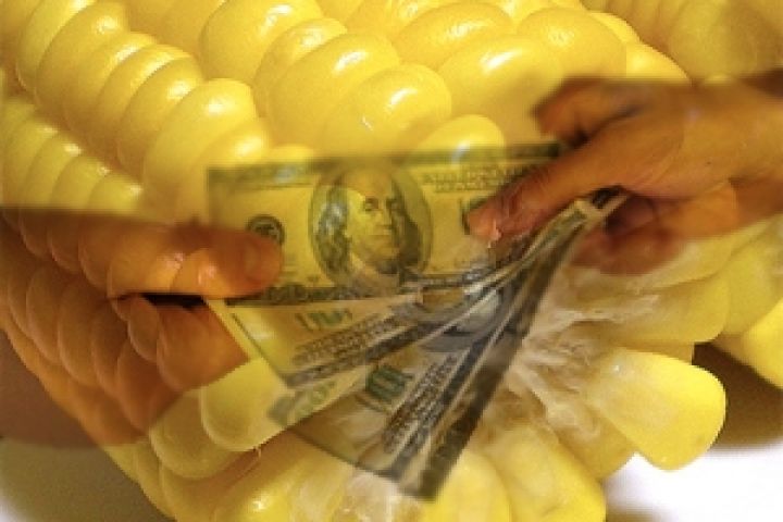 США делает ставку на кукурузу
