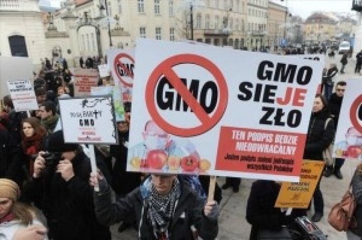 Сенат Польши одобрил ГМО