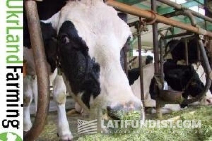 Агрохолдинг UkrLandFarming инвестирует в животноводство