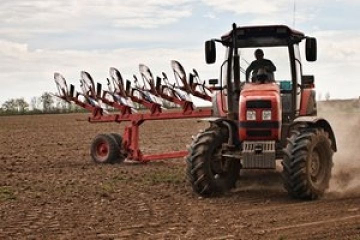 Украинские страховые компании взялись за сельхозриски 