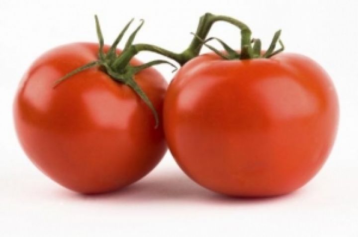 Турция инвестирует в производство помидоров