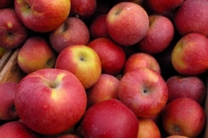 Польша стала лидером в экспорте яблок