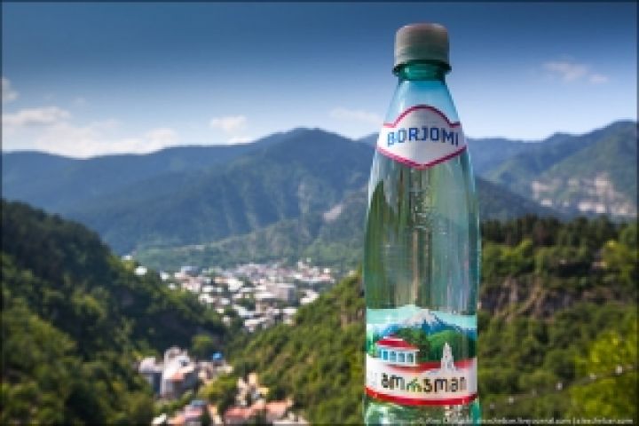 Продажу IDS Borjomi перенесли на 2013 год 