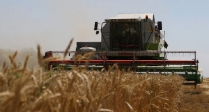 В России повысят налог для неиспользуемых сельхозугодий?