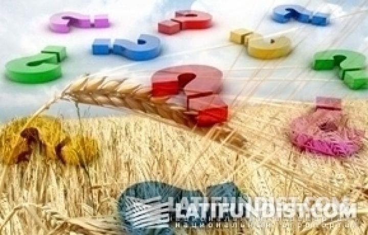 Украинским зернотрейдерам нужны гарантии