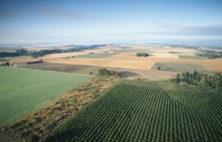 Швейцарский FIBL проверил качество украинских пахотных земель