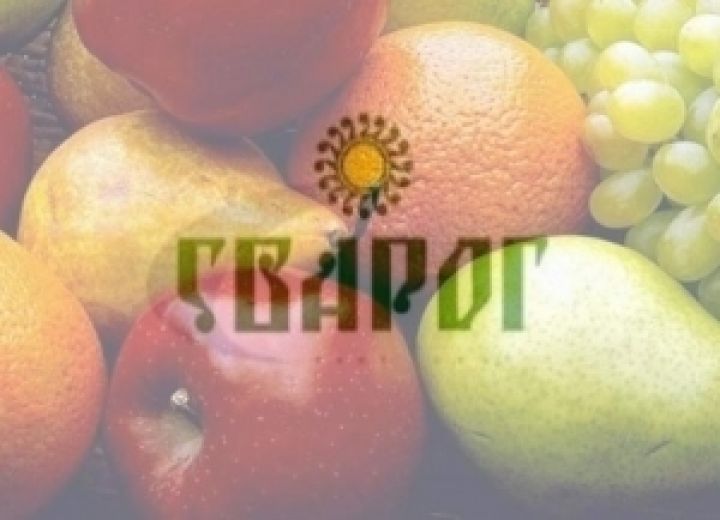 Сварог Вест Груп увеличила урожай фруктов на 28%