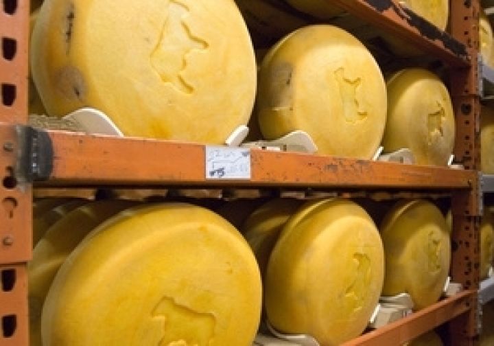 В Украине сократилось производство сыров