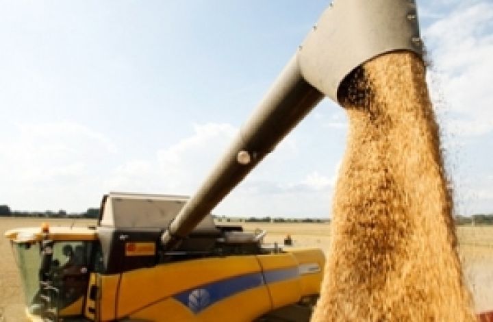 Украина и страны ЕЭП имеют возможности для увеличения номинальных объемов экспорта зерна 