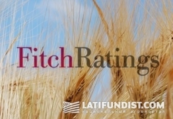 Fitch повысило рейтинги агрохолдинга Мрия