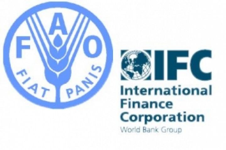 ФАО и IFC разработают ответственные методы ведения агробизнеса 