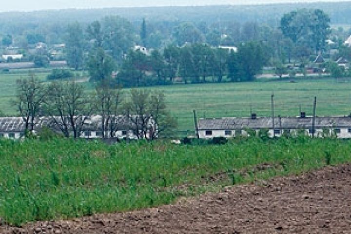 В Кыргызстане за 20 лет содержание гумуса в почве снизилось в более чем в 2 раза	