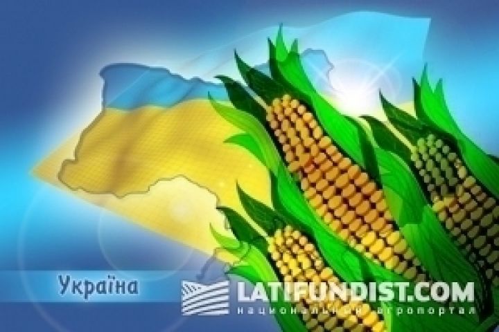 Аграрии Украины инициируют рост цен на кукурузу