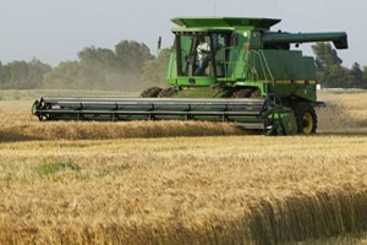 Озимые зерновые в России могут погибнуть на площади 1,5-2 млн га