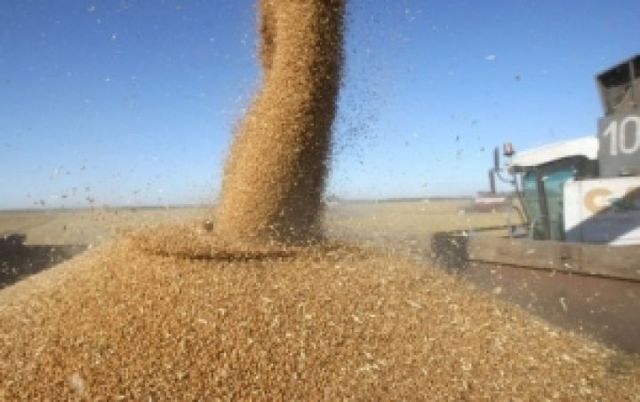 Россия. В первом полугодии ожидается рост цен на зерно