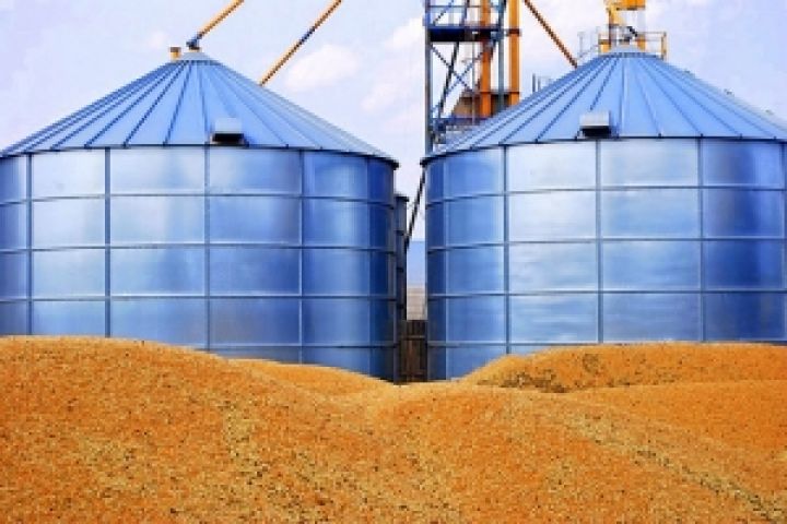 Украина за прошедший год увеличила экспорт зерна более чем на 90%