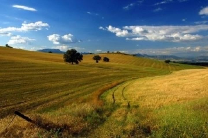 В России планируют установить минимальный срок аренды сельхозземель