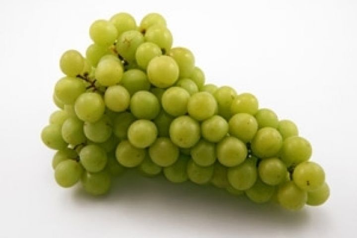 Испания удвоила поставки винограда в Украину