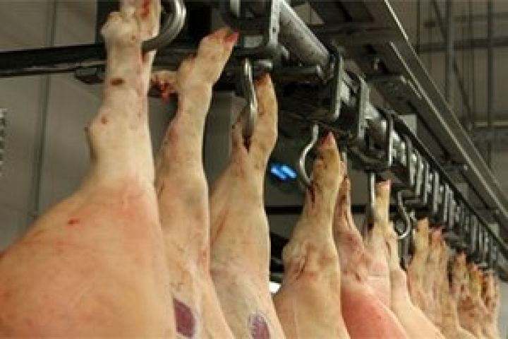 Сокращение импорта свинины на 50% поможет украинским животноводам