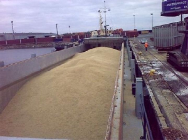 В январе украинские аграрии экспортировали почти два миллиона тонн зерновых