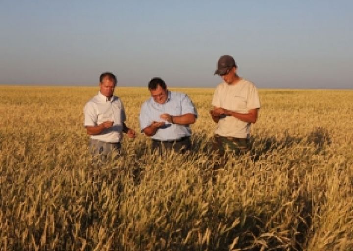 Украина определилась с направлениями поддержки аграриев в 2013-2014 г.