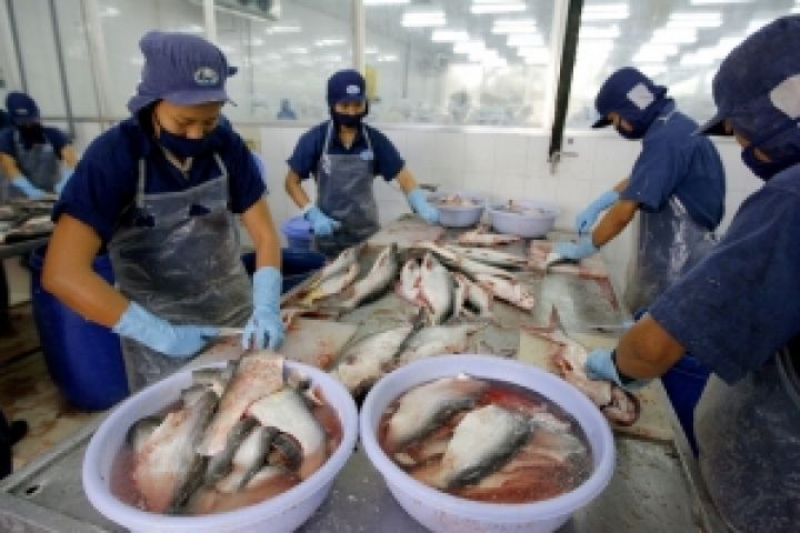 Украина обеспокоена качеством импортируемой из Вьетнама рыбы 