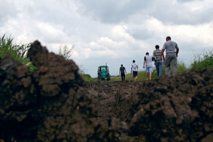 В прошлом году агрохолдинги заплатили за аренду земли 8,7 млрд грн