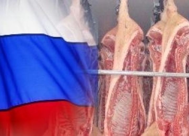 Россия запретила ввоз мяса крупнейшему украинскому поставщику