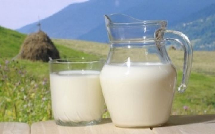 Украинское молоко может выйти на рынок ЕС в следующем году