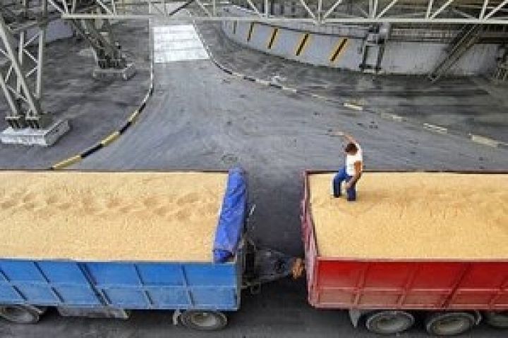 Украина обходит Россию по темпам экспорта зерна
