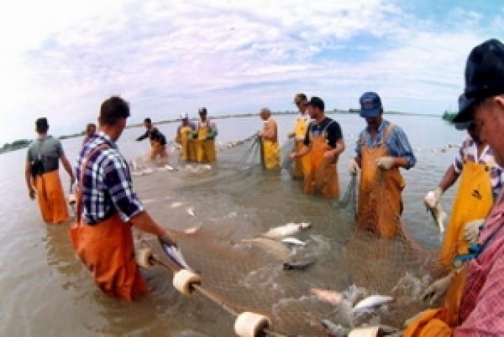 Украина планирует унифицировать сертификаты на рыболовную деятельность с ЕС