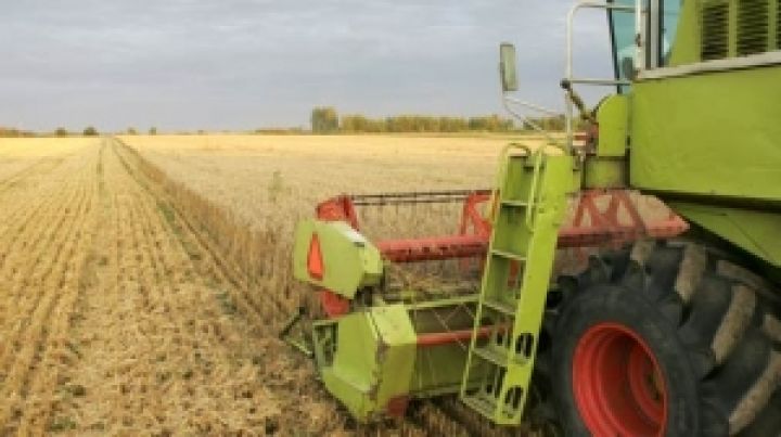 Латвия. Впервые в истории урожай зерна превысил 2 млн тонн