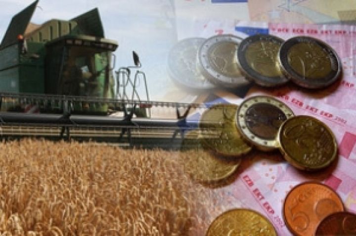 Германия увеличила экспорт пшеницы в 1,6 раза