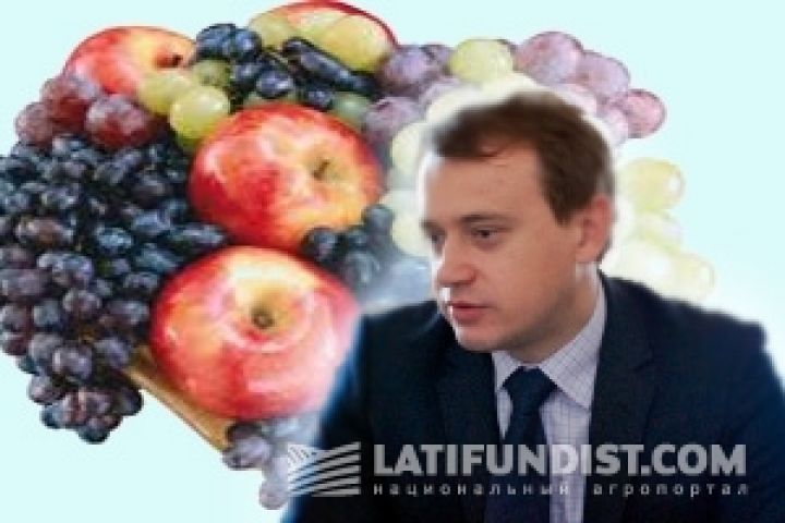 В Украине выгодно выращивать виноград и яблоки