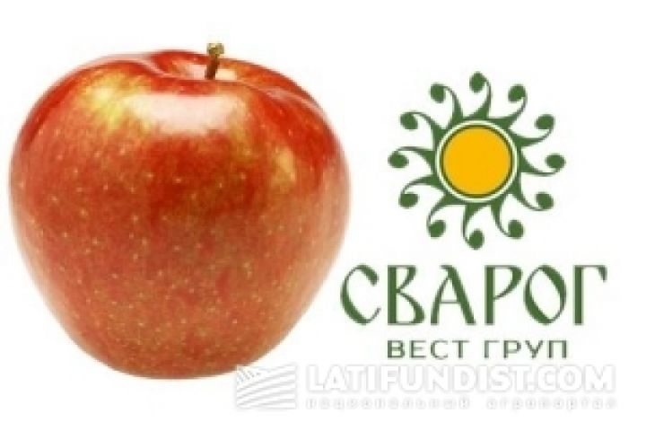 Сварог Вест Груп планирует запустить 2-ю очередь фруктохранилища в Черновицкой области