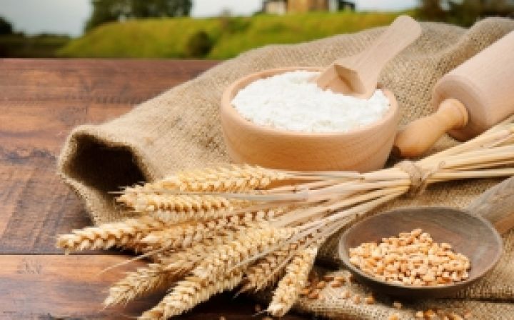 Экспорт украинского зерна вырос почти на 40%