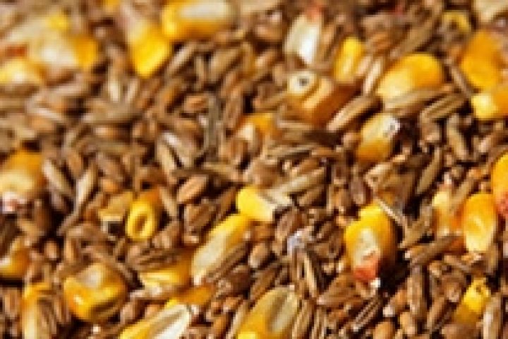 Испания существенно сокращает импорт пшеницы