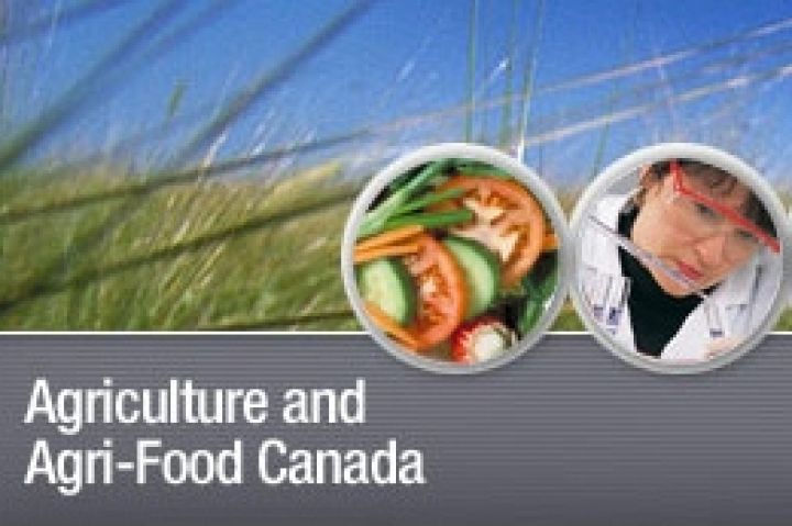 Канада. Производство зерновых и масличных культур увеличится на 5%