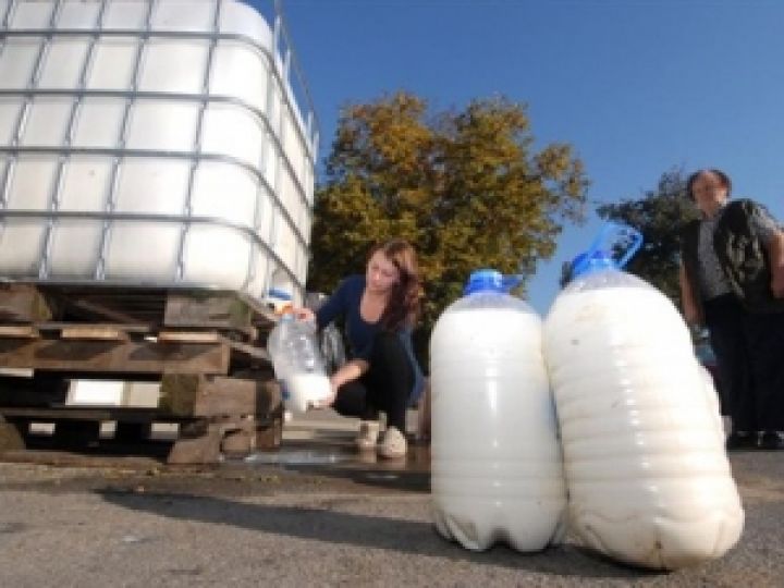 Хорватия планирует наращивать импорт украинского молока